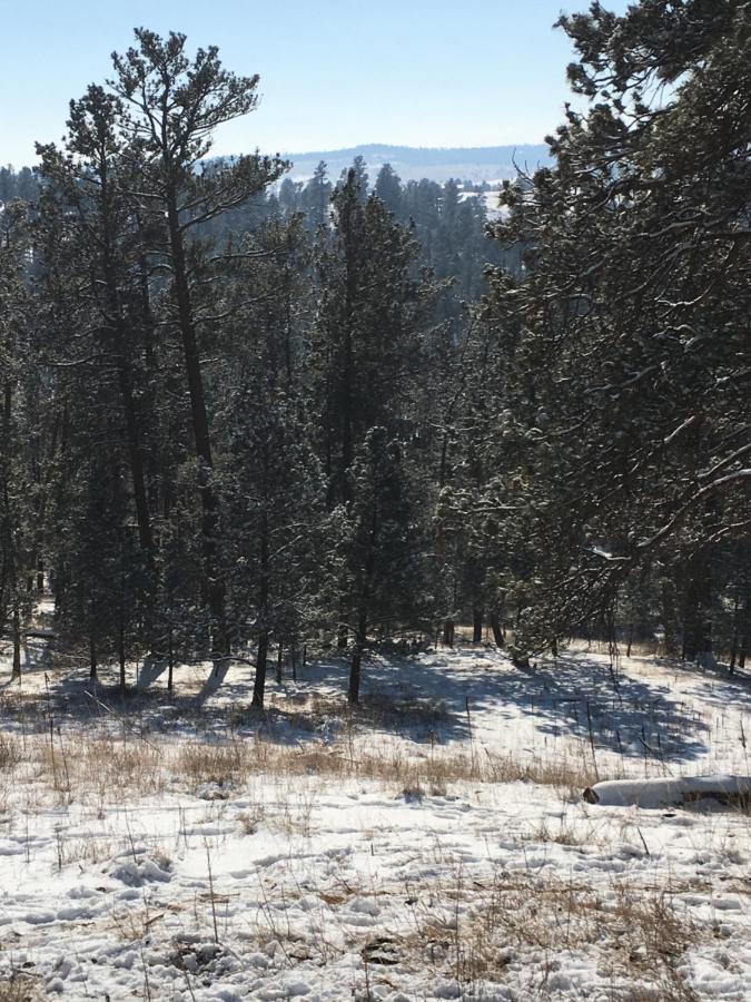Priceless Black Hills View Rapid City Εξωτερικό φωτογραφία