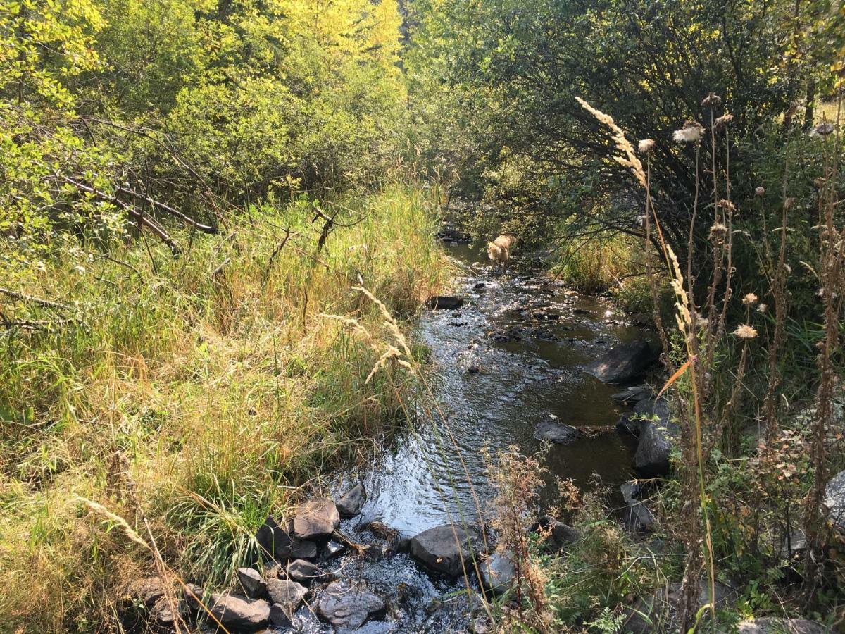 Priceless Black Hills View Rapid City Εξωτερικό φωτογραφία